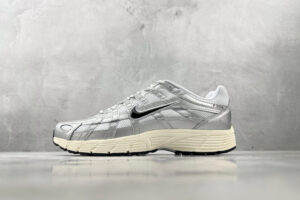 Nike P-6000 silver CD6404-105