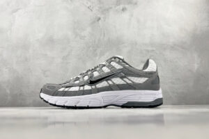 P-6000 IR2004 100